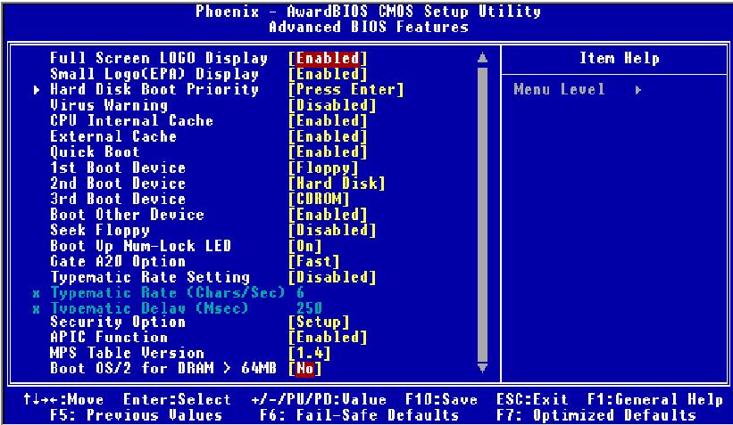 advanced bios features